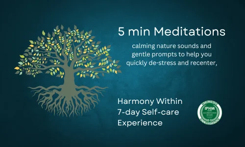 Guided Meditation Info Graphics